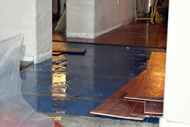 Professional Sewage Cleanup technician working in Guy, TX